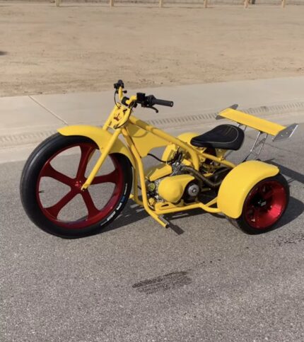 THE YELLOW AN BLACK 2025 Edition