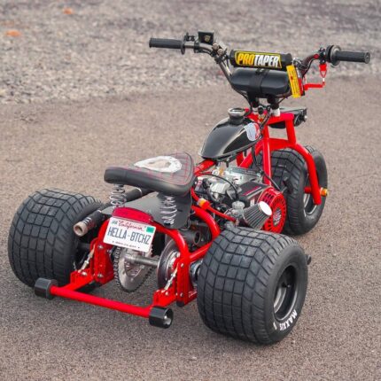 THE RED & BLACK 2025 edition